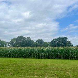 Photo #2 of Lot 4 WATERSIDE DR, NEW CHURCH, VA 2.1 acres