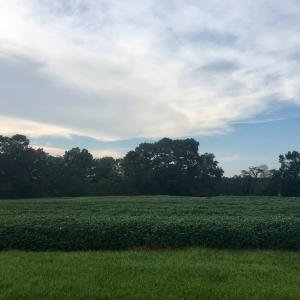 Photo #7 of Lot 4 WATERSIDE DR, NEW CHURCH, VA 2.1 acres