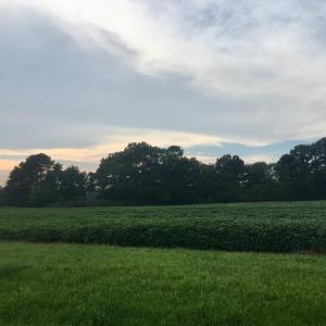 Photo #8 of Lot 4 WATERSIDE DR, NEW CHURCH, VA 2.1 acres