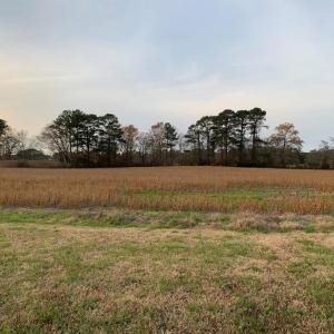 Photo #9 of Lot 4 WATERSIDE DR, NEW CHURCH, VA 2.1 acres