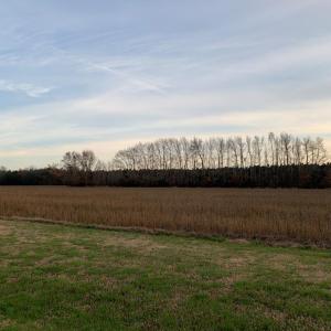 Photo #9 of Lot 5 WATERSIDE DR, NEW CHURCH, VA 3.1 acres