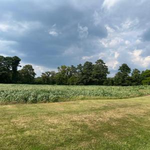 Photo #10 of Lot 5 WATERSIDE DR, NEW CHURCH, VA 3.1 acres