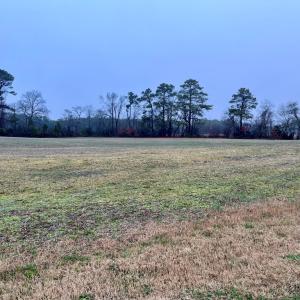 Photo #11 of Lot 5 WATERSIDE DR, NEW CHURCH, VA 3.1 acres