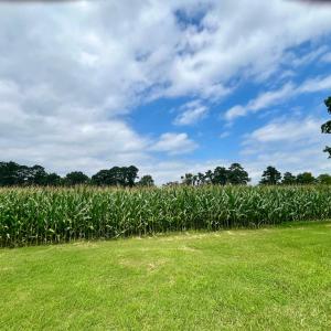 Photo #14 of Lot 5 WATERSIDE DR, NEW CHURCH, VA 3.1 acres