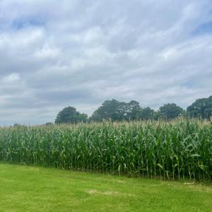 Photo #2 of Lot 5 WATERSIDE DR, NEW CHURCH, VA 3.1 acres