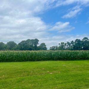 Photo #3 of Lot 5 WATERSIDE DR, NEW CHURCH, VA 3.1 acres