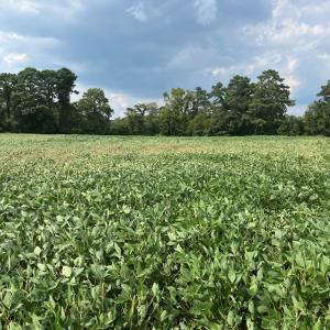 Photo #7 of Lot 5 WATERSIDE DR, NEW CHURCH, VA 3.1 acres