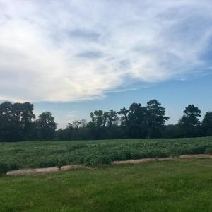 Photo #8 of Lot 5 WATERSIDE DR, NEW CHURCH, VA 3.1 acres