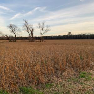 Photo #10 of Lot 7 WATERSIDE DR, NEW CHURCH, VA 5.1 acres