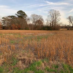 Photo #11 of Lot 7 WATERSIDE DR, NEW CHURCH, VA 5.1 acres