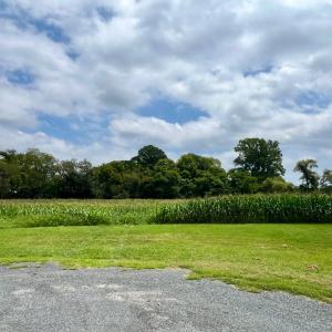 Photo #2 of Lot 7 WATERSIDE DR, NEW CHURCH, VA 5.1 acres