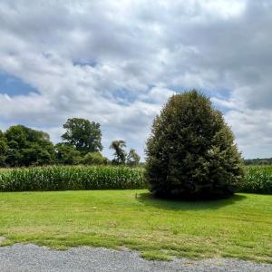 Photo #3 of Lot 7 WATERSIDE DR, NEW CHURCH, VA 5.1 acres