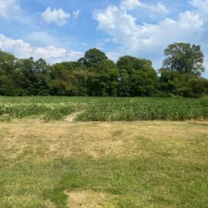 Photo #7 of Lot 7 WATERSIDE DR, NEW CHURCH, VA 5.1 acres