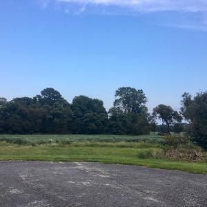 Photo #8 of Lot 7 WATERSIDE DR, NEW CHURCH, VA 5.1 acres