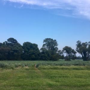 Photo #9 of Lot 7 WATERSIDE DR, NEW CHURCH, VA 5.1 acres