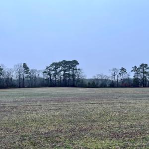Photo #10 of Lot 10 WATERSIDE DR, NEW CHURCH, VA 1.1 acres