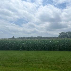 Photo #5 of Lot 10 WATERSIDE DR, NEW CHURCH, VA 1.1 acres