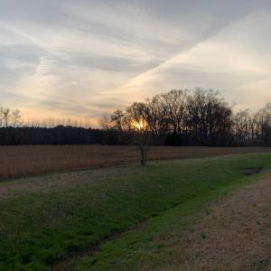 Photo #7 of Lot 10 WATERSIDE DR, NEW CHURCH, VA 1.1 acres