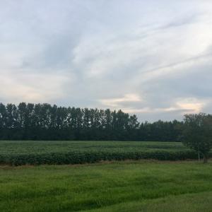 Photo #8 of Lot 10 WATERSIDE DR, NEW CHURCH, VA 1.1 acres