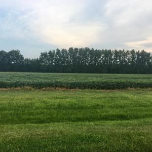 Photo #9 of Lot 10 WATERSIDE DR, NEW CHURCH, VA 1.1 acres