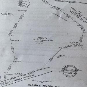 Photo #4 of Lot 51 LANKFORD HWY, NEW CHURCH, VA 53.4 acres