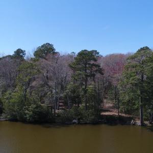 Photo #12 of Lot 3 TERRAPIN STATION RD, BELLE HAVEN, VA 5.9 acres