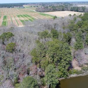 Photo #14 of Lot 3 TERRAPIN STATION RD, BELLE HAVEN, VA 5.9 acres