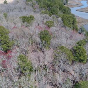 Photo #15 of Lot 3 TERRAPIN STATION RD, BELLE HAVEN, VA 5.9 acres