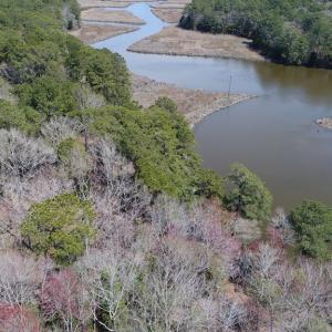 Photo #16 of Lot 3 TERRAPIN STATION RD, BELLE HAVEN, VA 5.9 acres