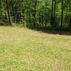 0-19 Schoolhouse Lane