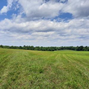 Photo #3 of Chappell Trail, Vernon Hill, VA 83.7 acres