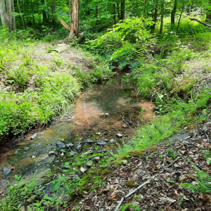 Photo #6 of Chappell Trail, Vernon Hill, VA 83.7 acres