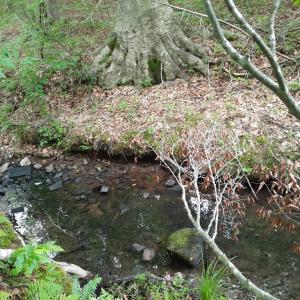Photo #7 of Chappell Trail, Vernon Hill, VA 83.7 acres
