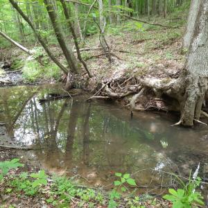 Photo #8 of Chappell Trail, Vernon Hill, VA 83.7 acres