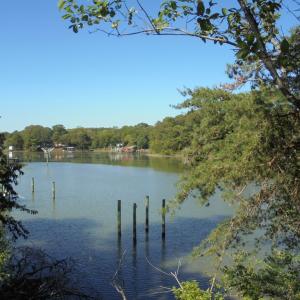 Photo #3 of 3391 VAUCLUSE LN, MACHIPONGO, VA 0.5 acres