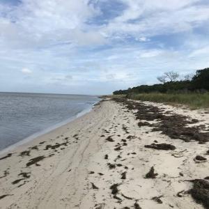 Photo #7 of 3391 VAUCLUSE LN, MACHIPONGO, VA 0.5 acres