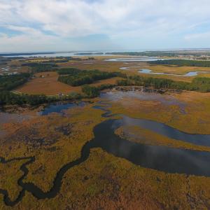 Photo #5 of Lot 8 BAY WATCH DR, NEW CHURCH, VA 3.4 acres