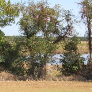 Photo #2 of Lot 8 BAY WATCH DR, NEW CHURCH, VA 3.4 acres