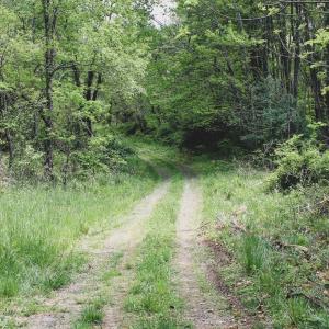 Photo #17 of 1435 Brewster Hollow Road, Bandy, VA 756.0 acres