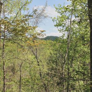 Photo #23 of 1435 Brewster Hollow Road, Bandy, VA 756.0 acres