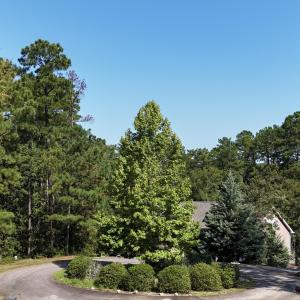 Hummingbird Cul de sac