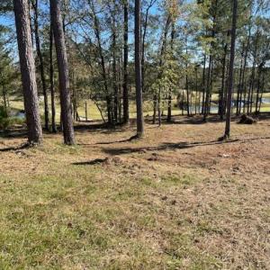 IMG_20241022_111251~2