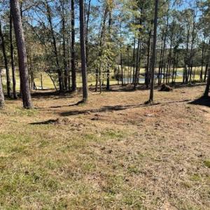 IMG_20241022_111240~2