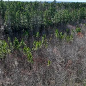 Photo #10 of 727 Wrights Road, Crewe, VA 25.7 acres