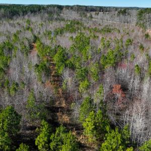 Photo #3 of 727 Wrights Road, Crewe, VA 25.7 acres