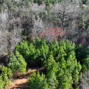 Photo #5 of 727 Wrights Road, Crewe, VA 25.7 acres