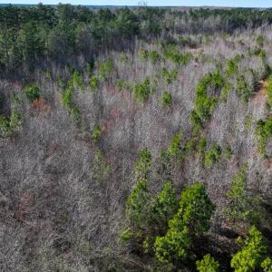 Photo #6 of 727 Wrights Road, Crewe, VA 25.7 acres