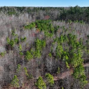 Photo #8 of 727 Wrights Road, Crewe, VA 25.7 acres