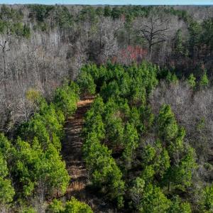Photo #9 of 727 Wrights Road, Crewe, VA 25.7 acres