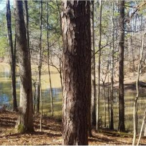 Screenshot_20240122-181333_Chrome